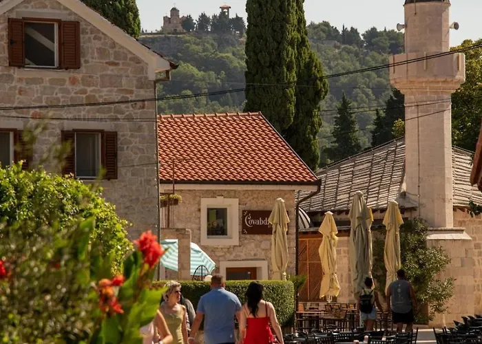 Leo I Nina アパート トレビニエ